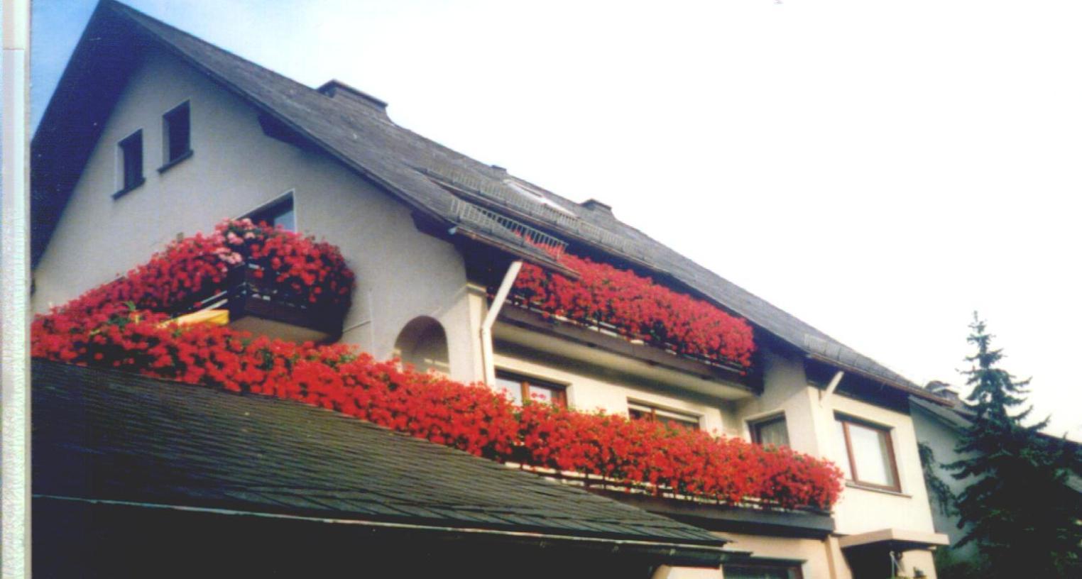 Haus Hubertus Hotel Winterberg Luaran gambar
